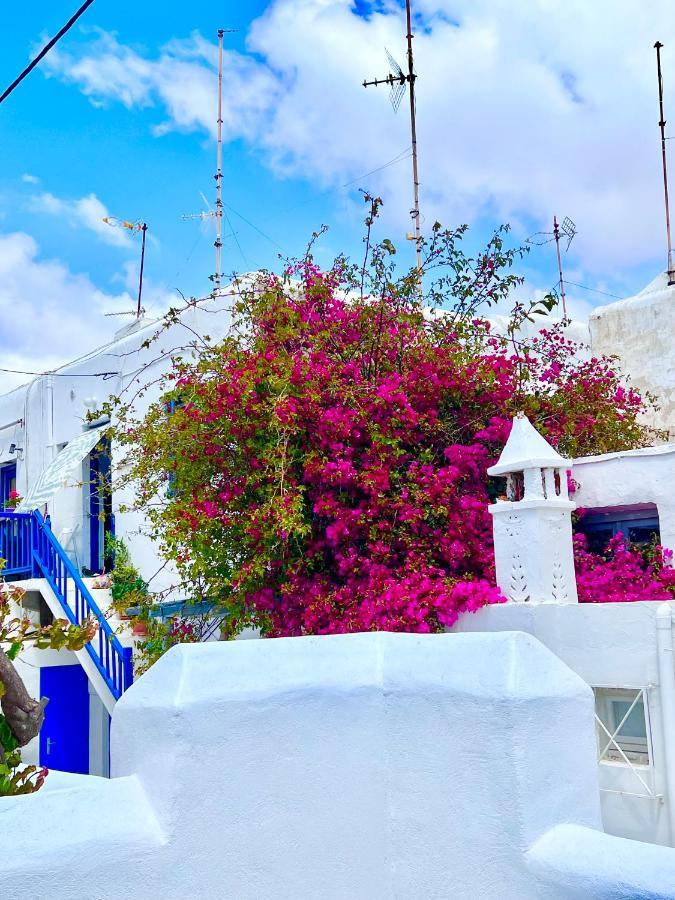 Provis Rentals Suite Next To The Mills In Mykonos Town Exteriör bild